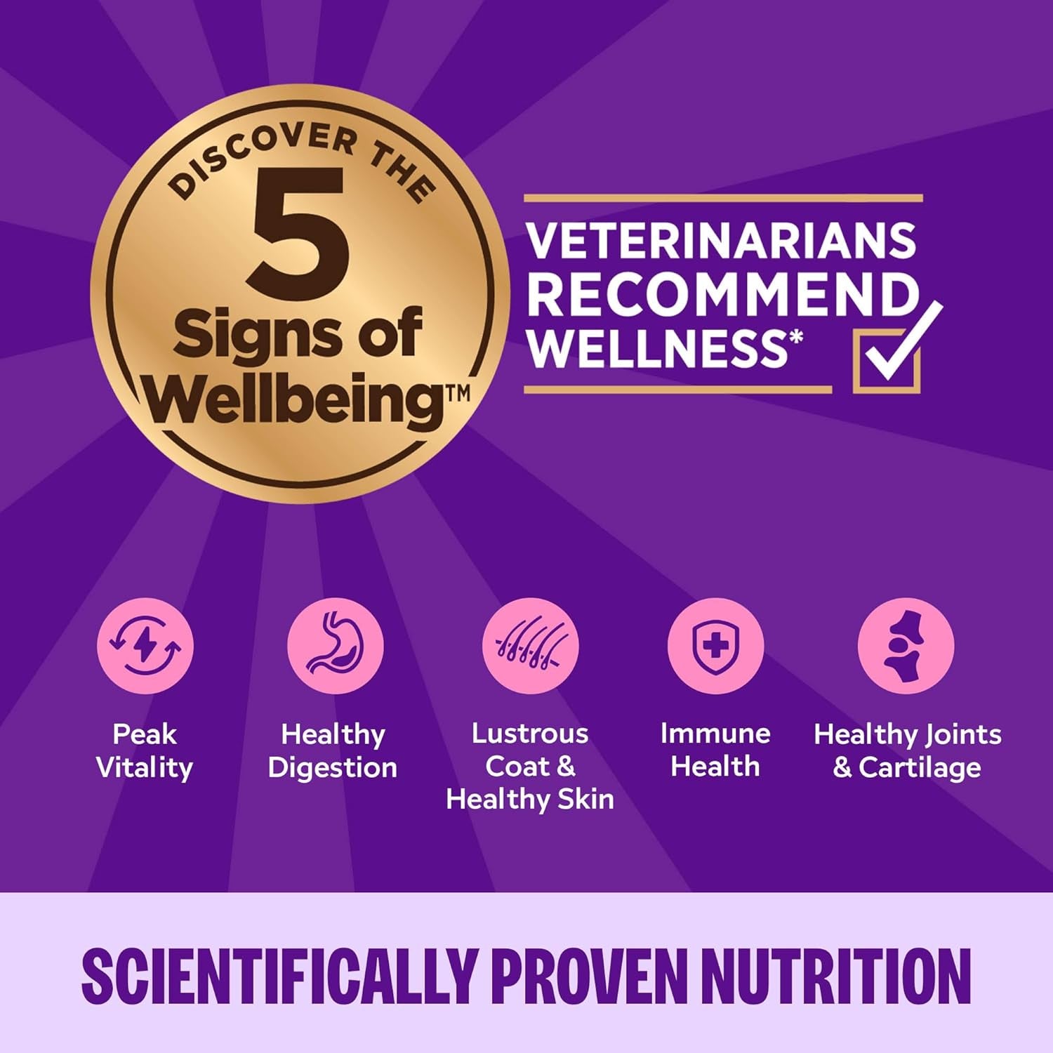 Complete Health Pate Adult Wet Cat Food, Natural, Protein-Rich, Grain Free, 12.5 Ounce, 12 Pack, (Chicken)