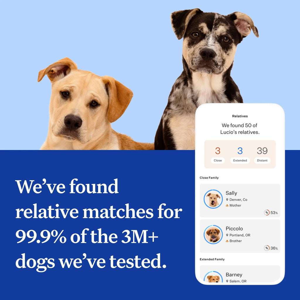 Essential, Breed Identification & Health Condition Identification, Dog DNA Test Kit