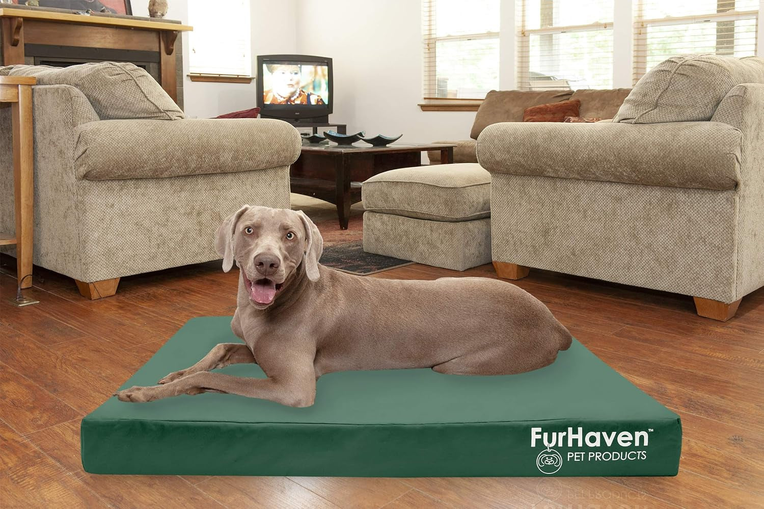 Water-Resistant Cooling Gel Dog Bed for Large Dogs W/ Removable Washable Cover, for Dogs up to 125 Lbs - Indoor/Outdoor Logo Print Oxford Polycanvas Mattress - Forest, Jumbo Plus/Xxl